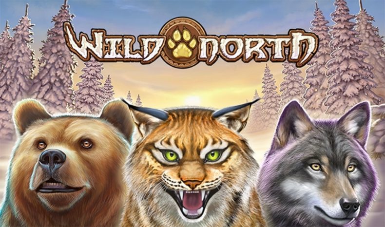 Wild North: обзор игрового автомата и его особенностей